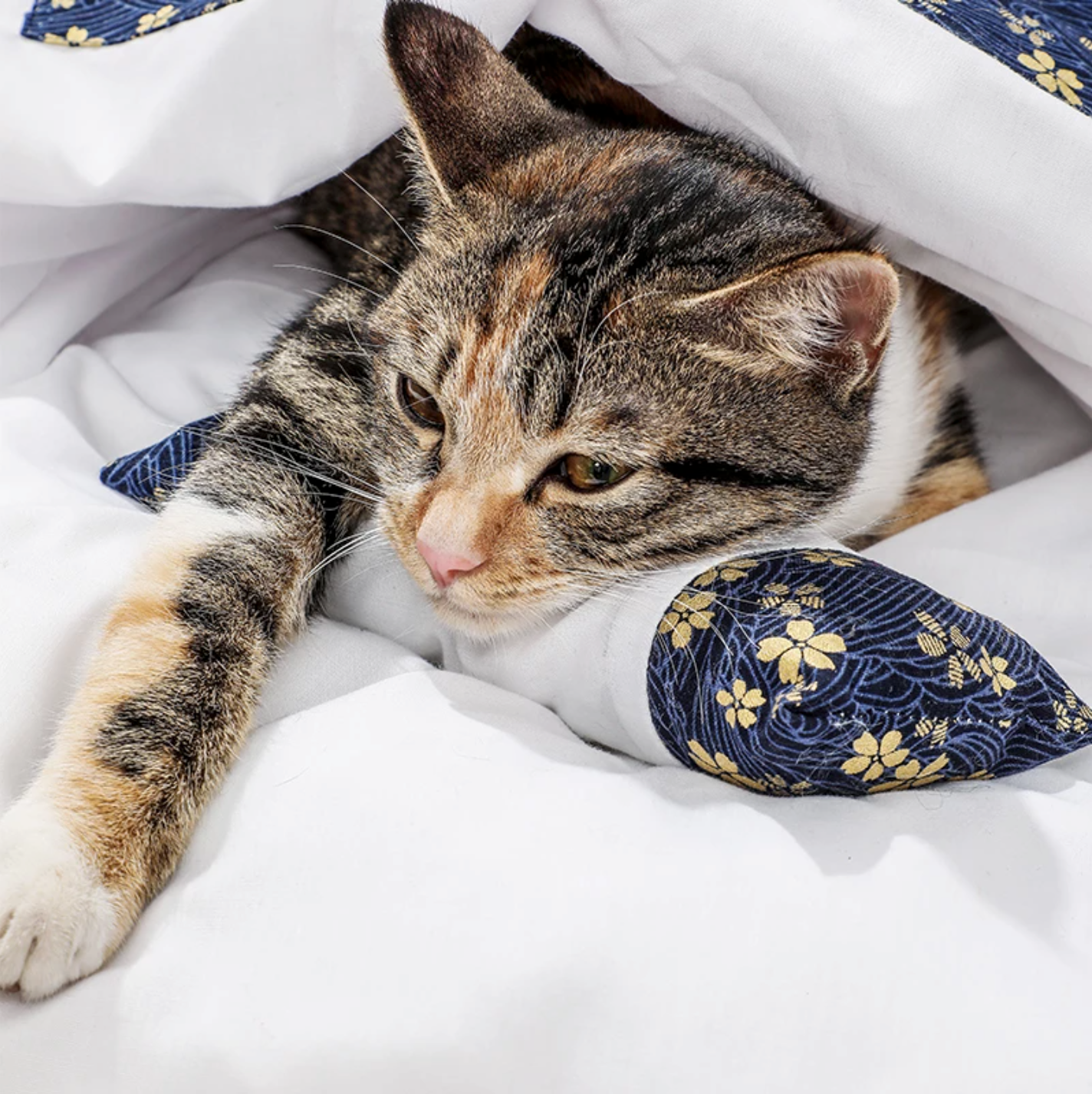 Four Seasons Cat Sleeping Bag