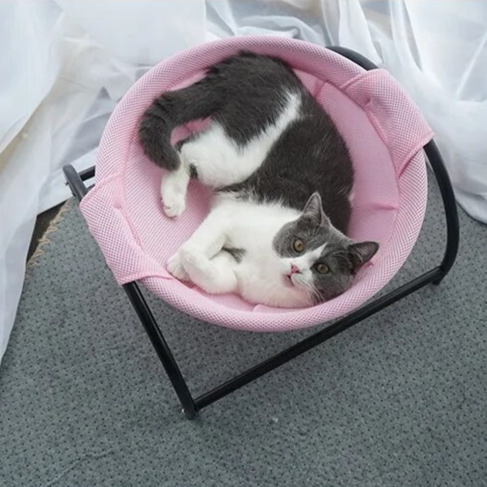 Cat Mesh Bed | Cat Bed