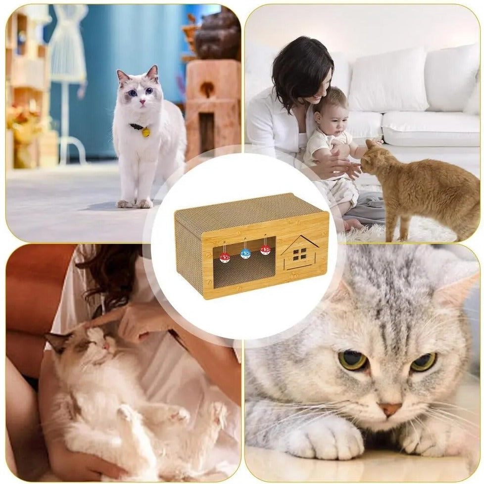 Cat Scratcher Box | Cat Toy