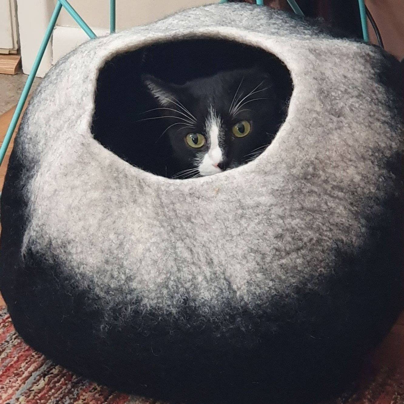 Charcoal & White Cat Cave