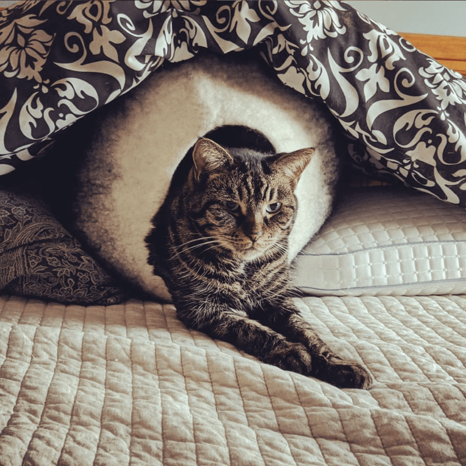Charcoal & White Cat Cave