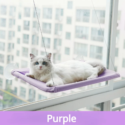 Hanging Cat Bed w/ Suction | Cat Hammock