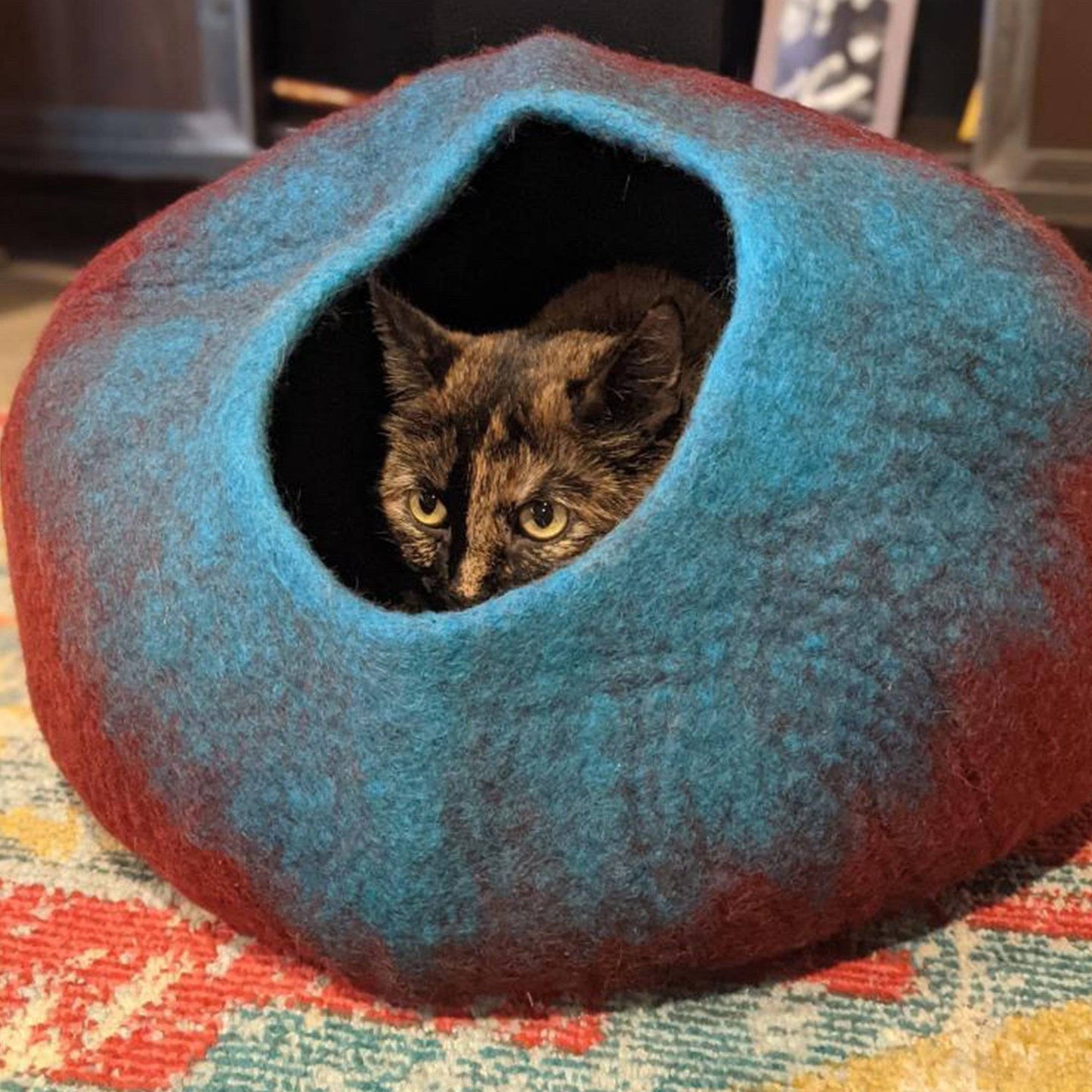 Maroon & Teal Cat Cave