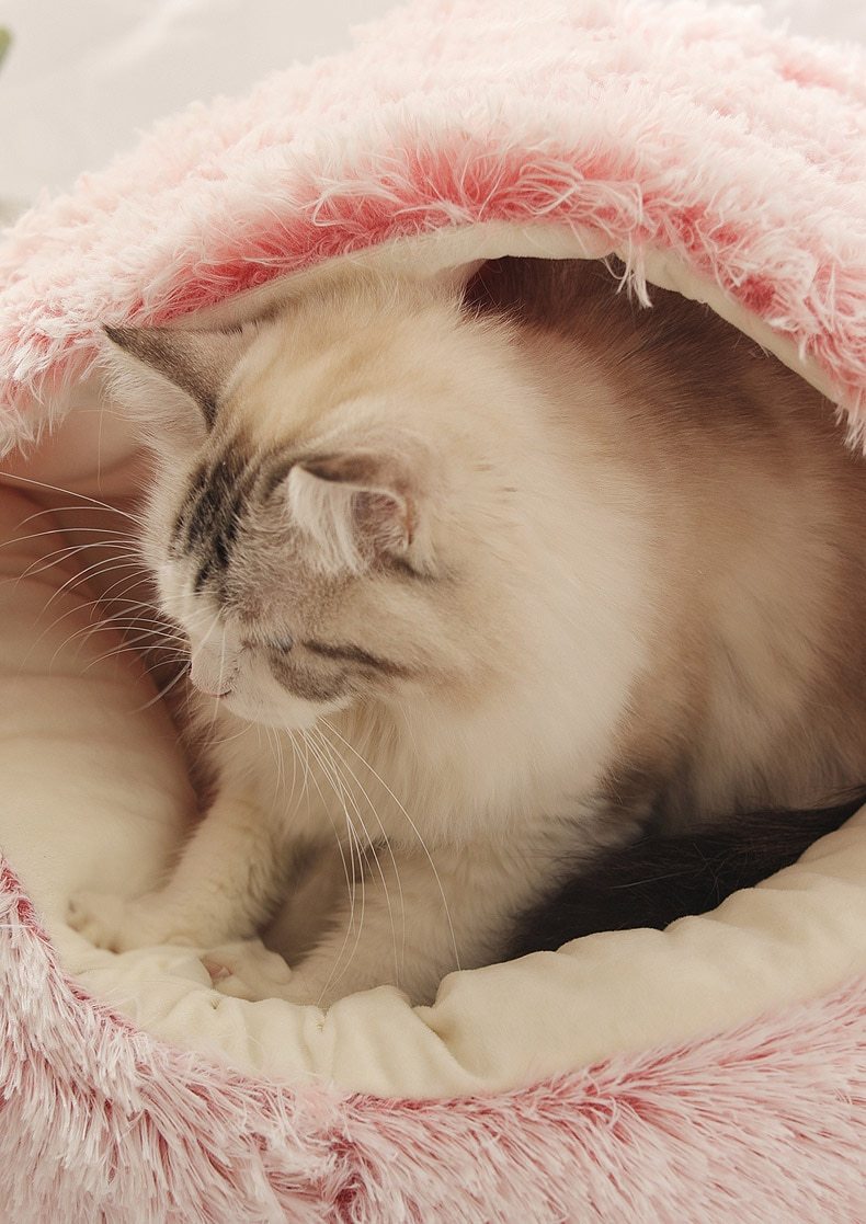 Plush Round Cat Bed