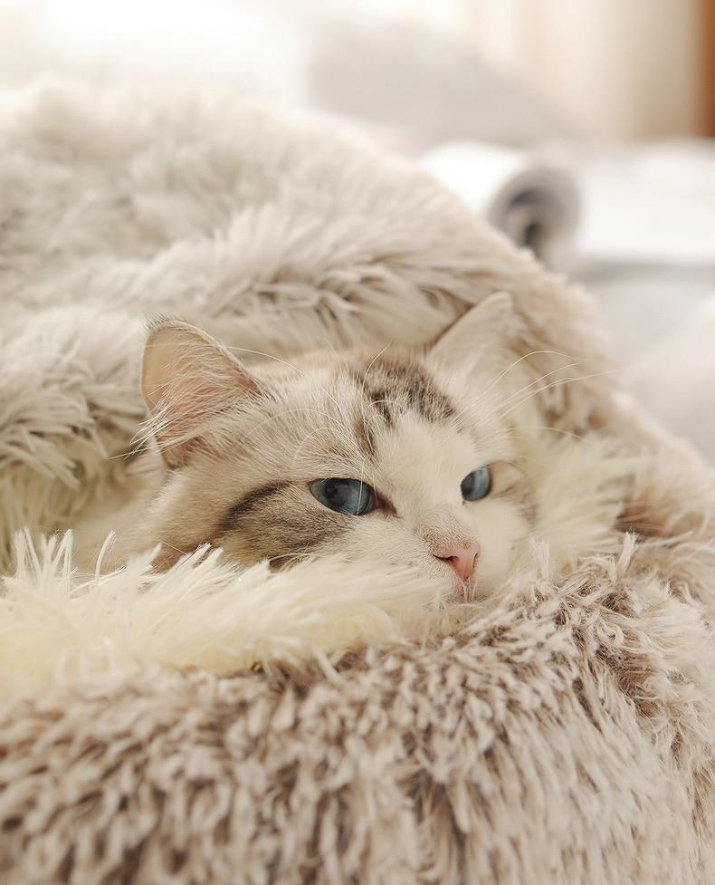 Plush Round Cat Bed