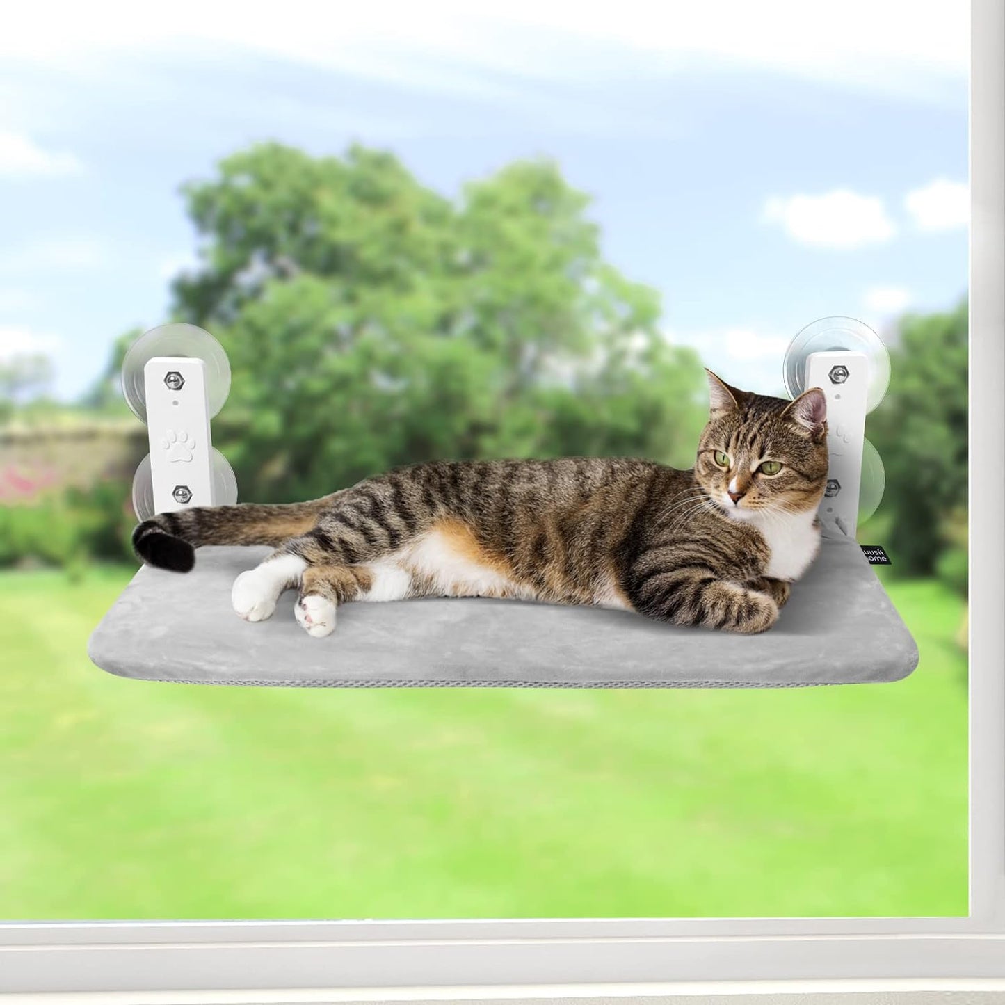 Foldable Hanging Cat Perch w/ Suction | Cat Hammock