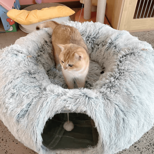 2-in-1 Round Cat Tunnel Bed | Cat Bed