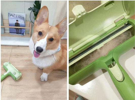 Cat Hair Removal Roller