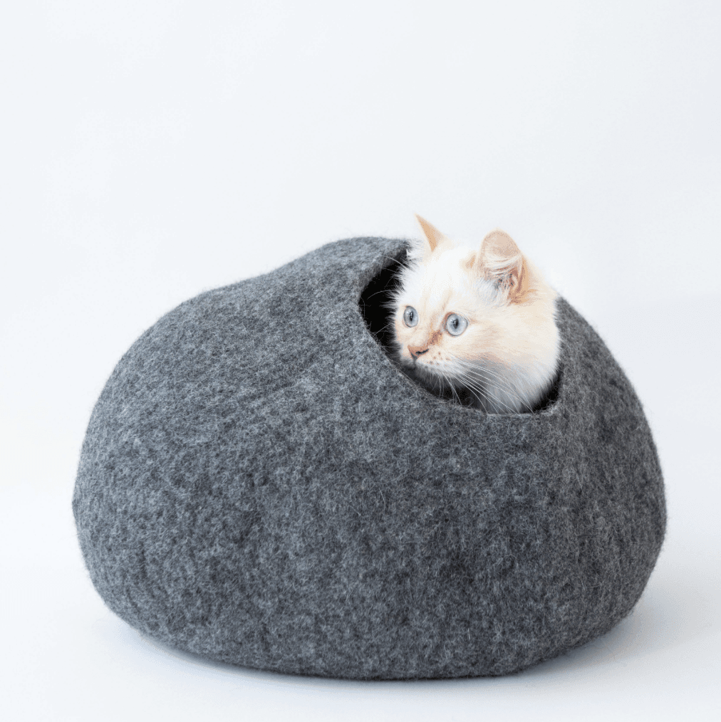 Cat Must-Haves Bundle | Special Offers
