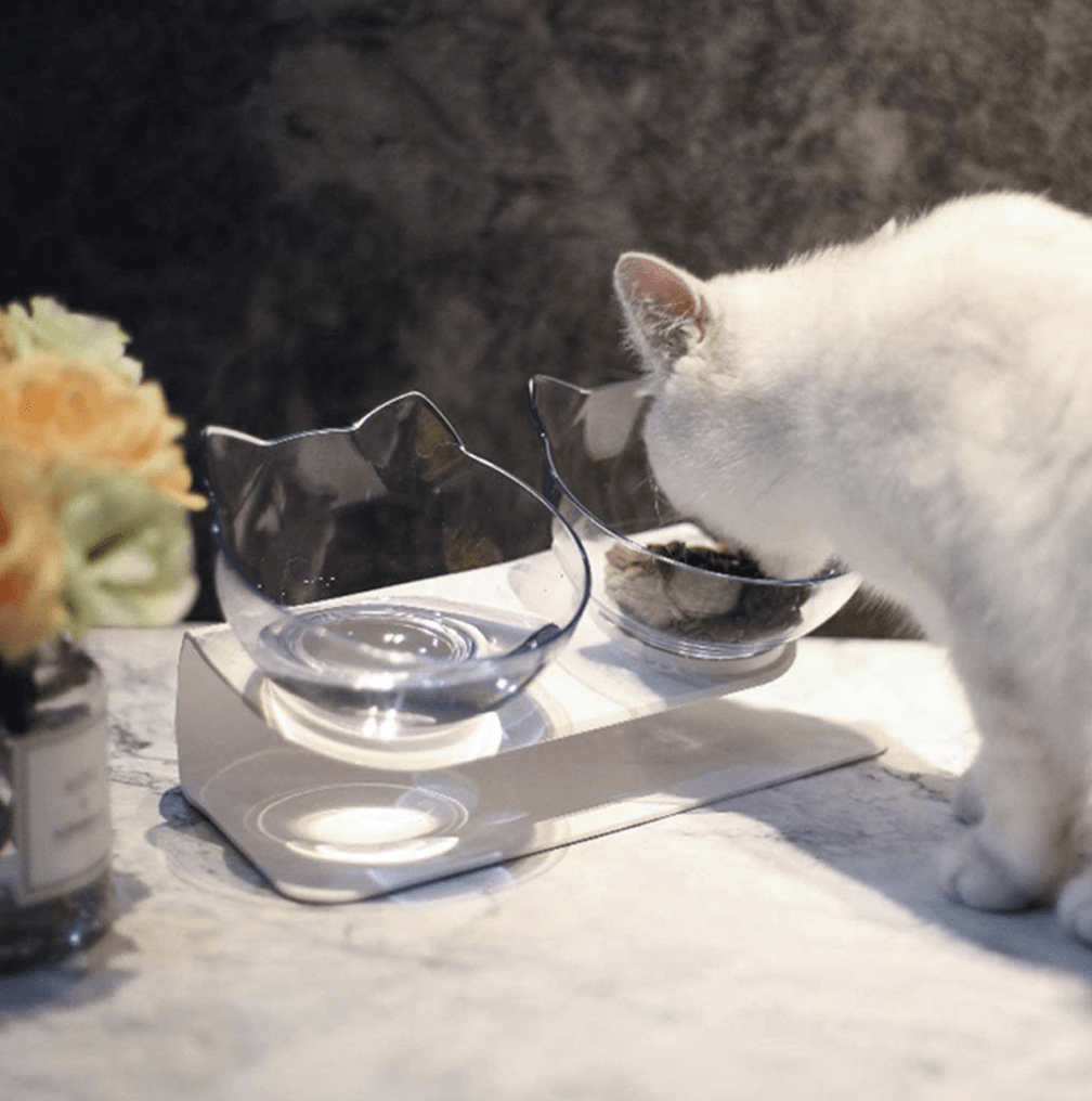 Cat Must-Haves Bundle | Special Offers
