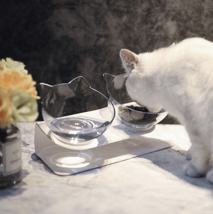 Cat Must-Haves Bundle | Special Offers