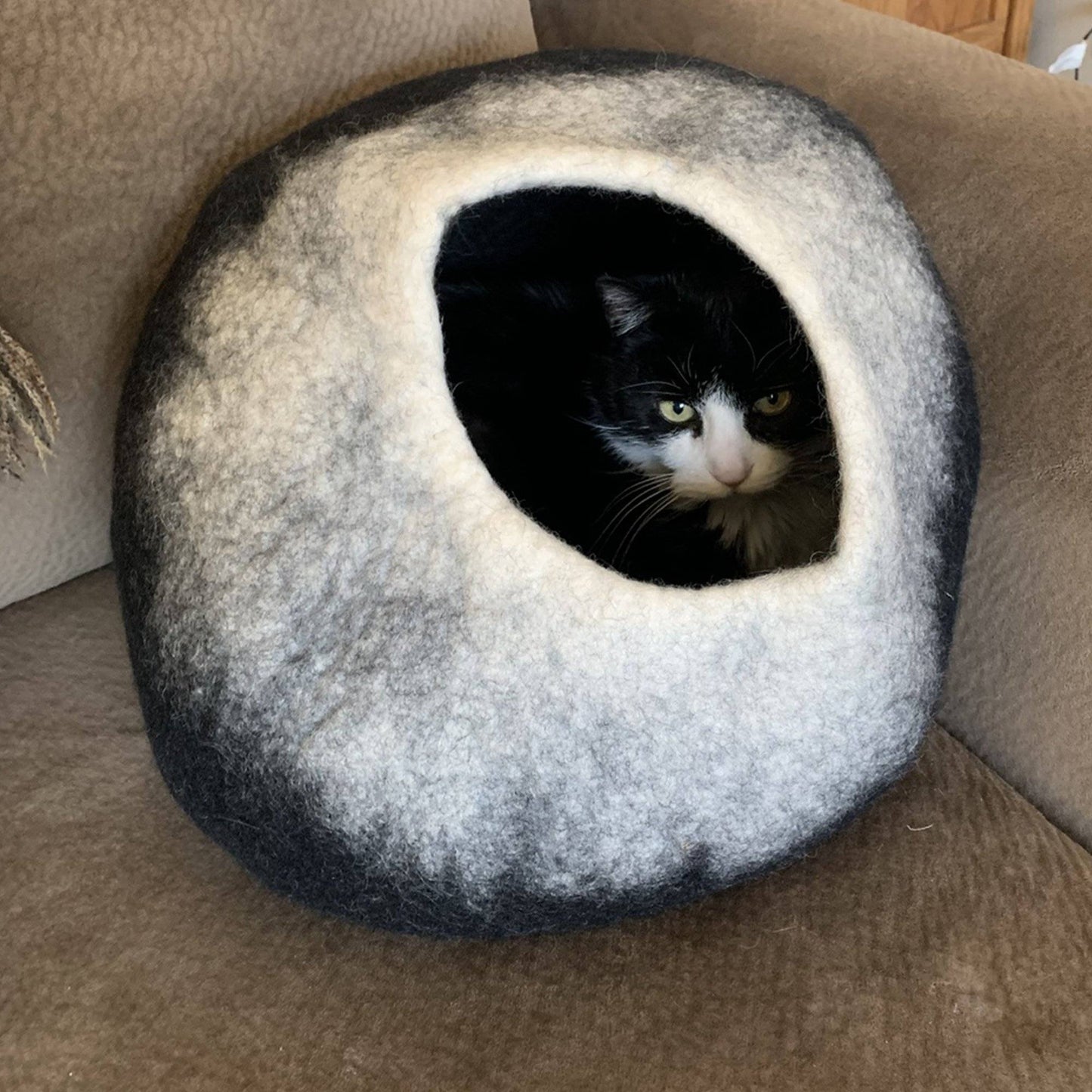 Charcoal & White Cat Cave