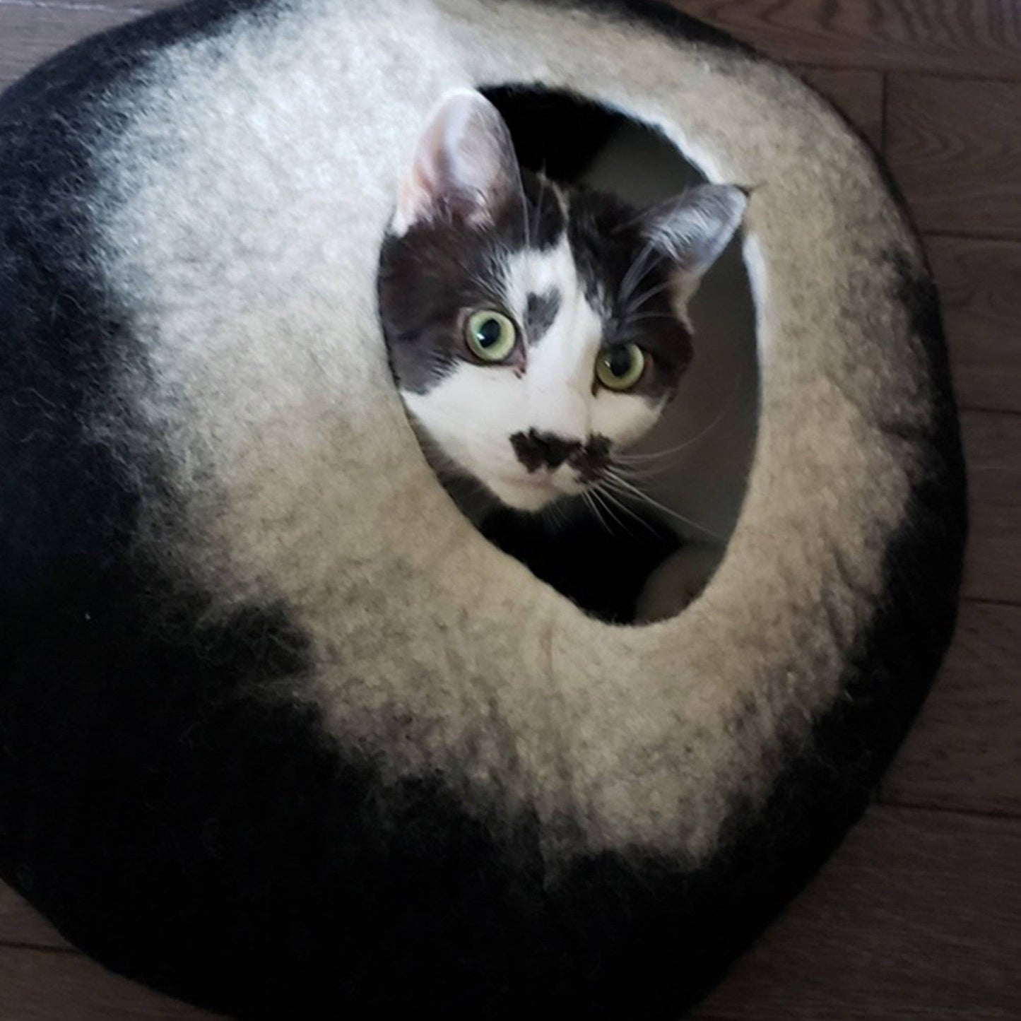 Charcoal & White Cat Cave