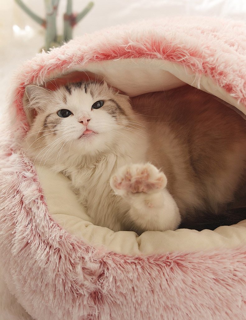 Plush Round Cat Bed