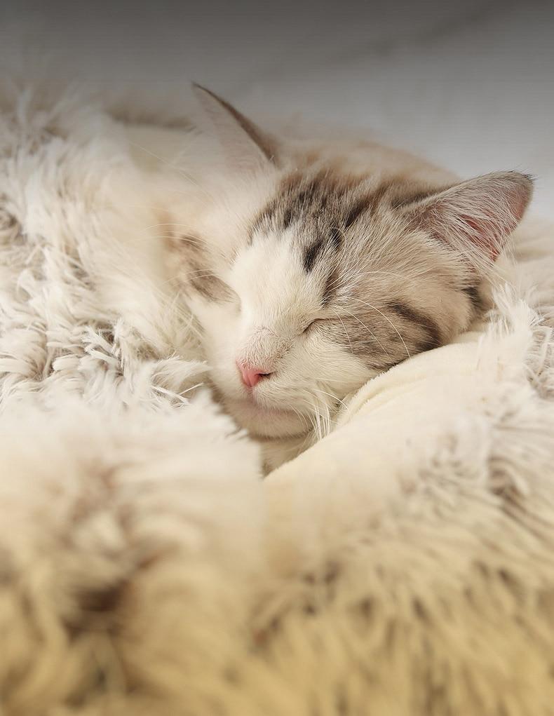 Plush Round Cat Bed