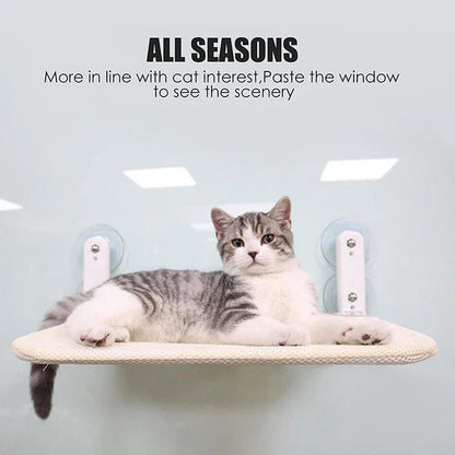 Foldable Hanging Cat Perch w/ Suction | Cat Hammock